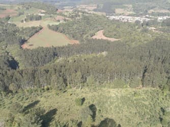 Terreno Rural /  Sítio / Fazenda / Chácara para vender no bairro Linha Santo Antonio, Macieira - Santa Catarina